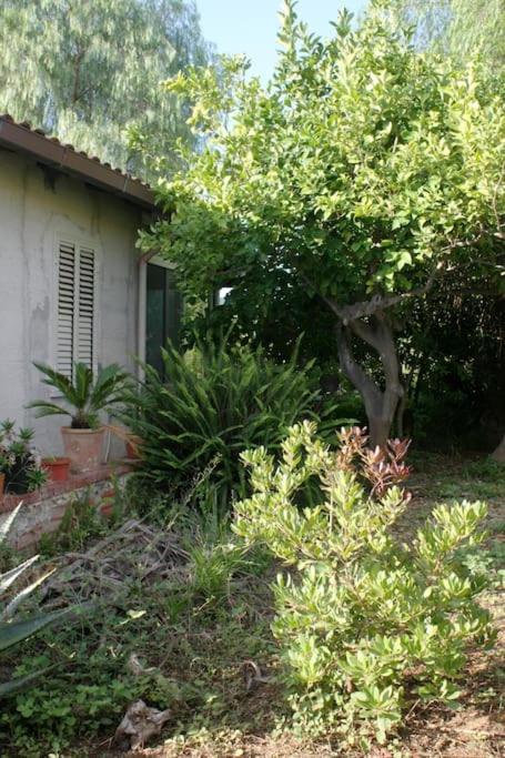 Camera Indipendente Con Bagno Immersa Nel Verde Bagheria Exterior foto